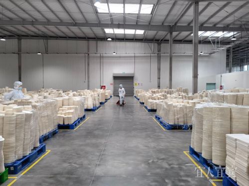 看宜路精彩丨興文 打造優良營商環境 賦能竹產業發展